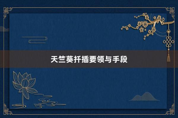 天竺葵扦插要领与手段