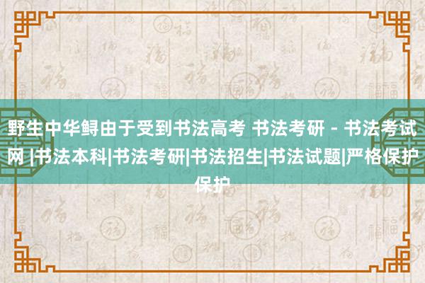 野生中华鲟由于受到书法高考 书法考研 - 书法考试网 |书法本科|书法考研|书法招生|书法试题|严格保护