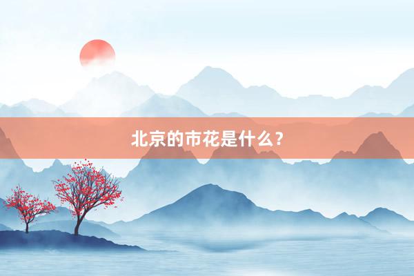 北京的市花是什么？