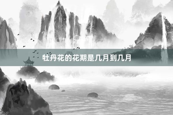 牡丹花的花期是几月到几月