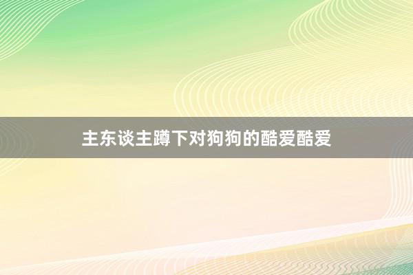 主东谈主蹲下对狗狗的酷爱酷爱