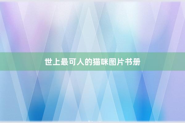 世上最可人的猫咪图片书册
