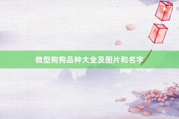 微型狗狗品种大全及图片和名字