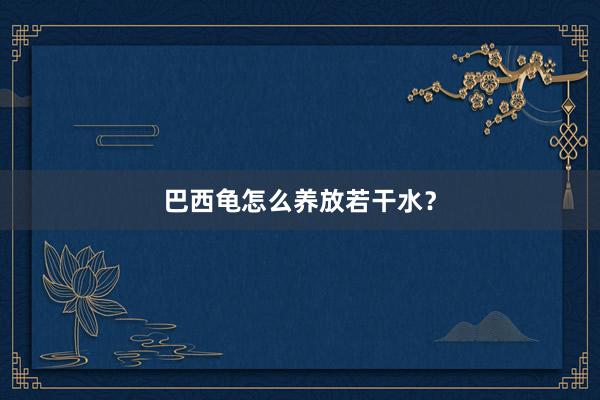 巴西龟怎么养放若干水？